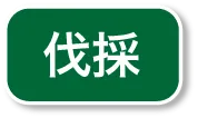 伐採