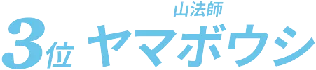 3位 ヤマボウシ