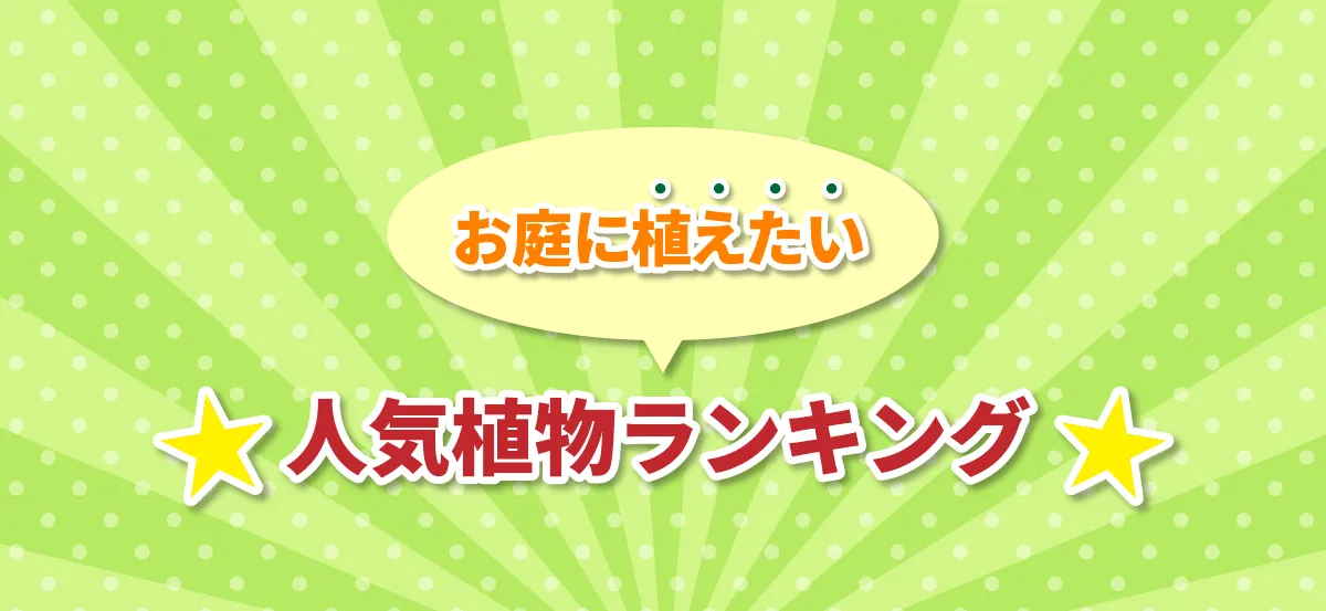 お庭に植えたい 人気植物ランキング